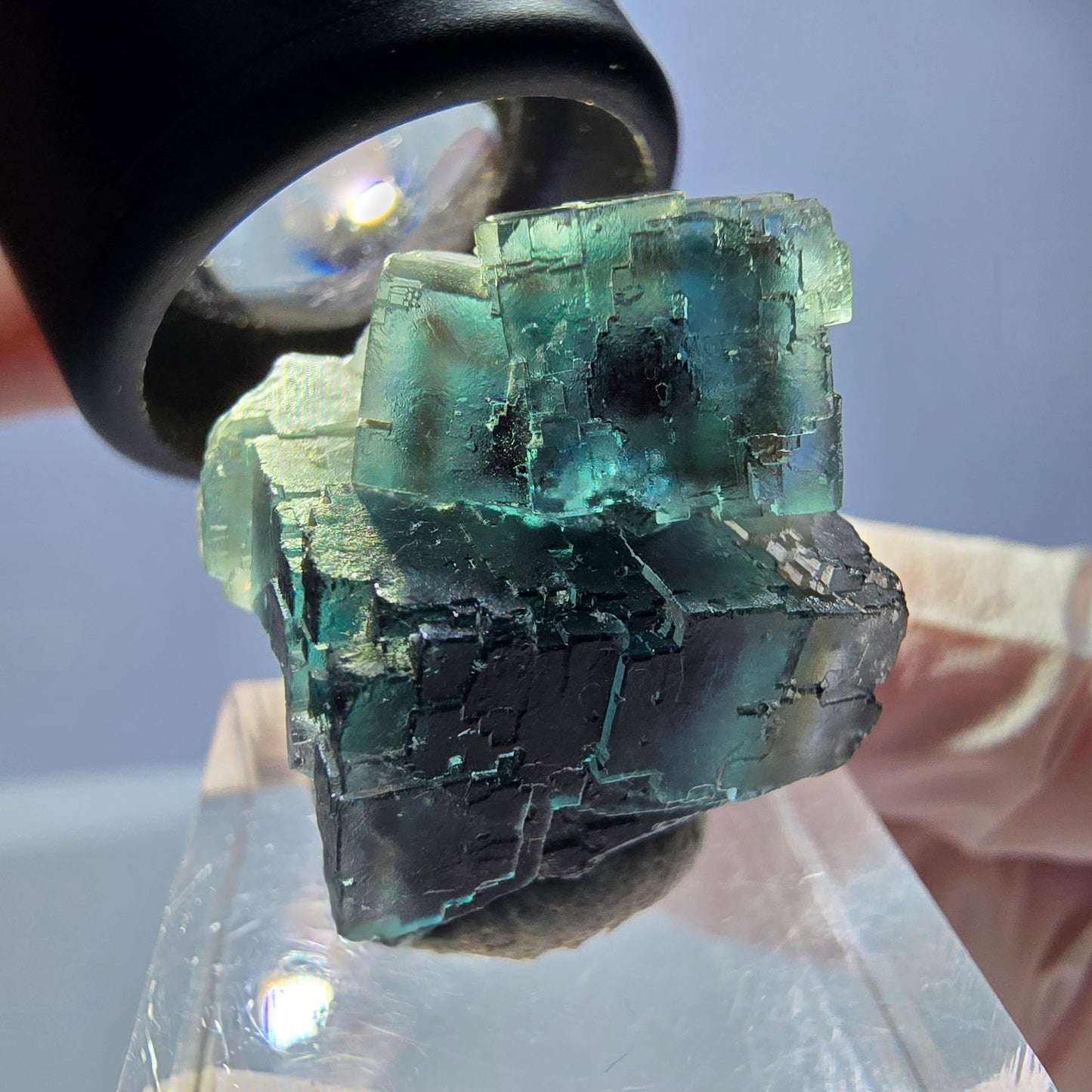 Spécimen de cube de fluorite fantôme, parqueté vert violet Okorusu, Namibie 25*18*18 mm