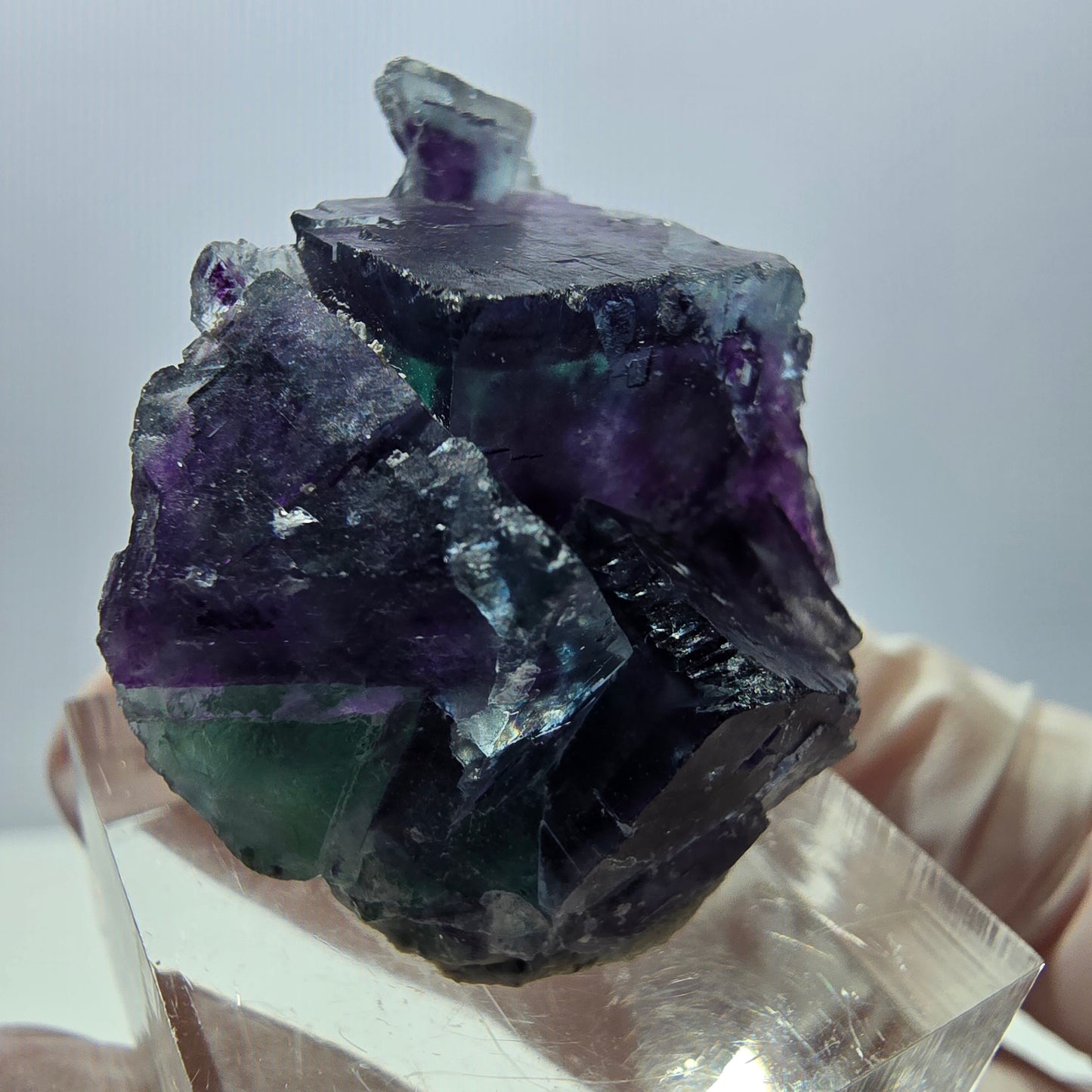 Spécimen de cube de fluorite fantôme, parqueté vert violet Okorusu, Namibie 32*28*17 mm