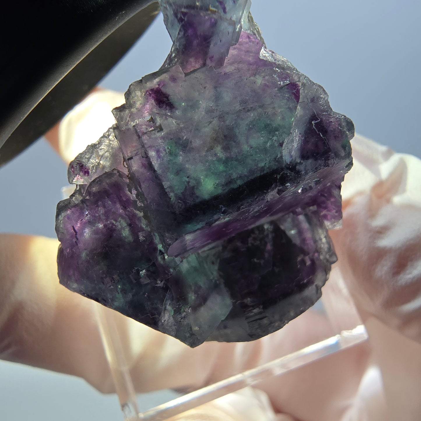 Spécimen de cube de fluorite fantôme, parqueté vert violet Okorusu, Namibie 32*28*17 mm