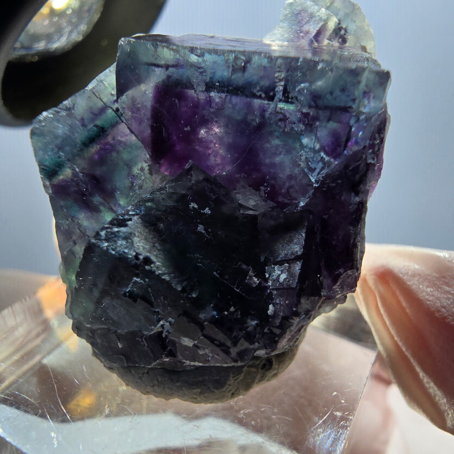 Spécimen de cube de fluorite fantôme, parqueté vert violet Okorusu, Namibie 32*28*17 mm
