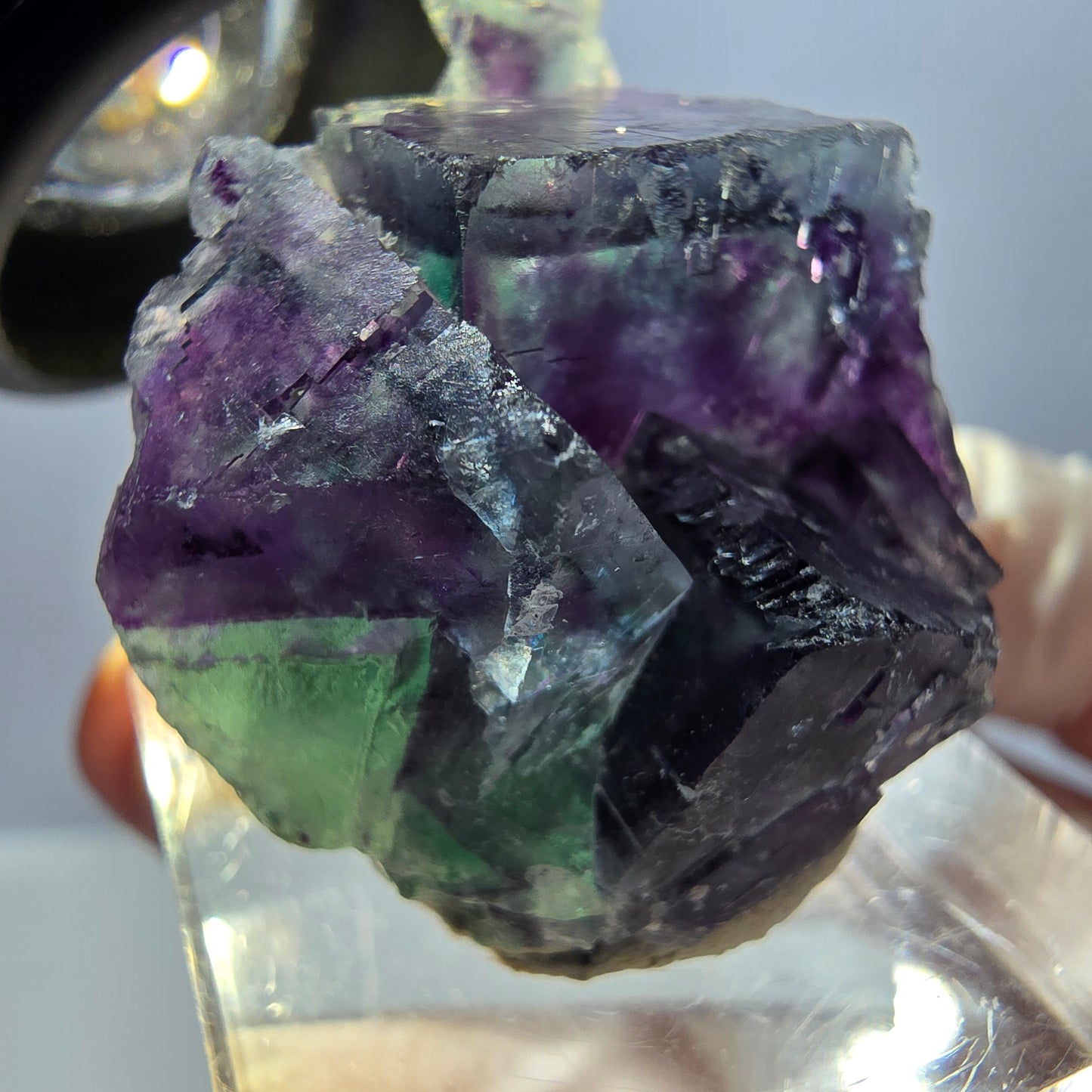 Spécimen de cube de fluorite fantôme, parqueté vert violet Okorusu, Namibie 32*28*17 mm