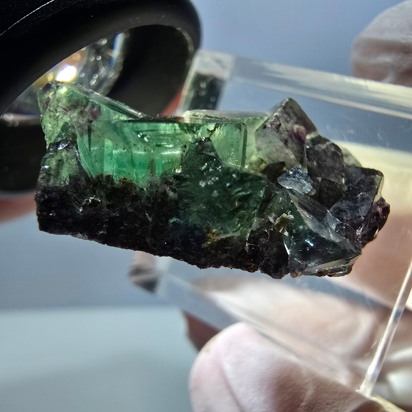 Spécimen de cube de fluorite fantôme, parqueté vert violet Okorusu, Namibie 27 x 20 x 12 mm