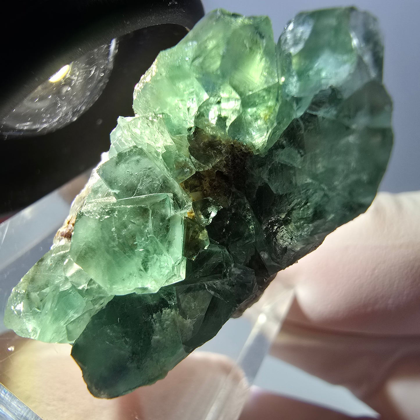 Spécimen de cube de fluorite fantôme, vert violet, Okorusu, Namibie, 32 x 20 x 18 mm