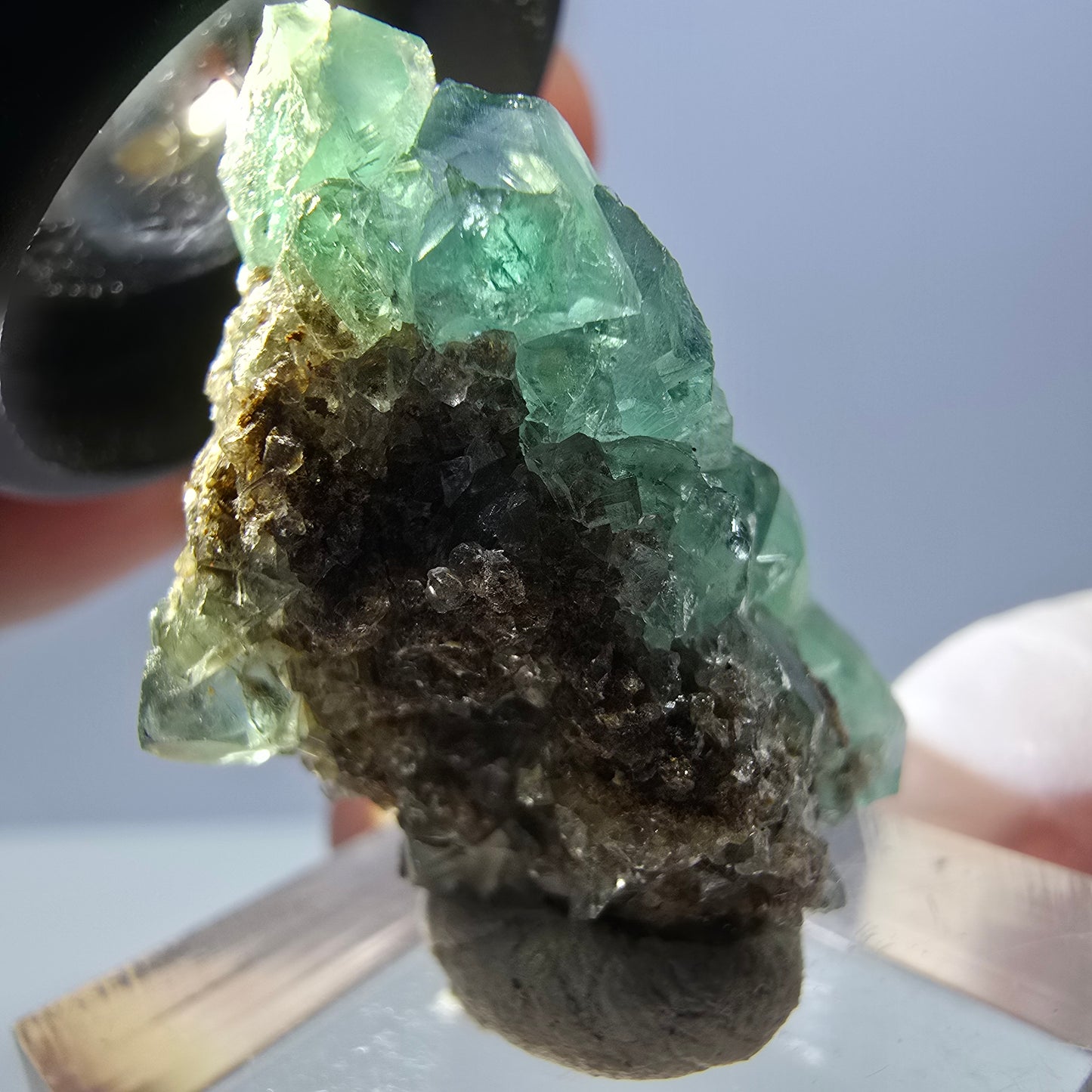 Spécimen de cube de fluorite fantôme, vert violet, Okorusu, Namibie, 32 x 20 x 18 mm
