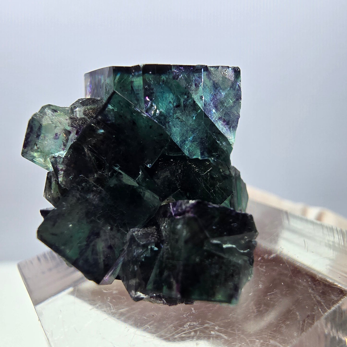 Spécimen de cube de fluorite fantôme, parqueté vert violet Okorusu, Namibie 27*21*19 mm
