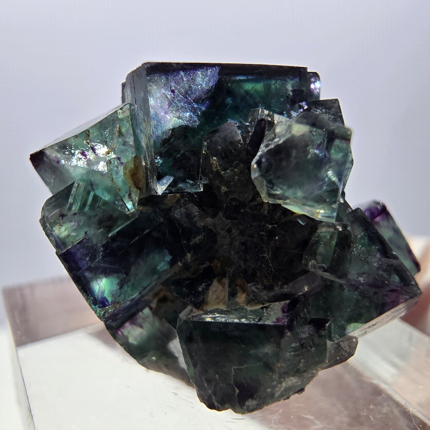 Spécimen de cube de fluorite fantôme, parqueté vert violet Okorusu, Namibie 27*21*19 mm