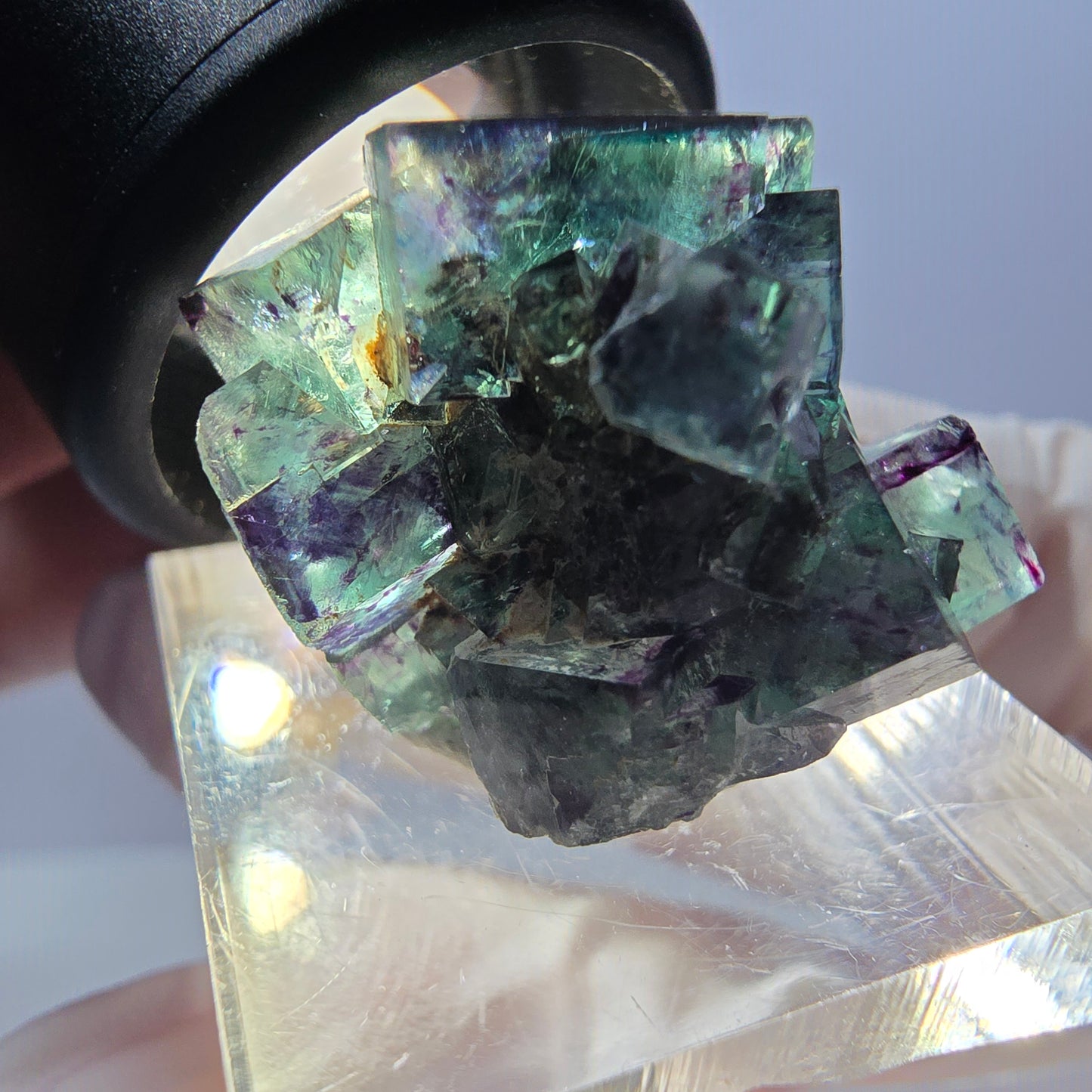 Spécimen de cube de fluorite fantôme, parqueté vert violet Okorusu, Namibie 27*21*19 mm