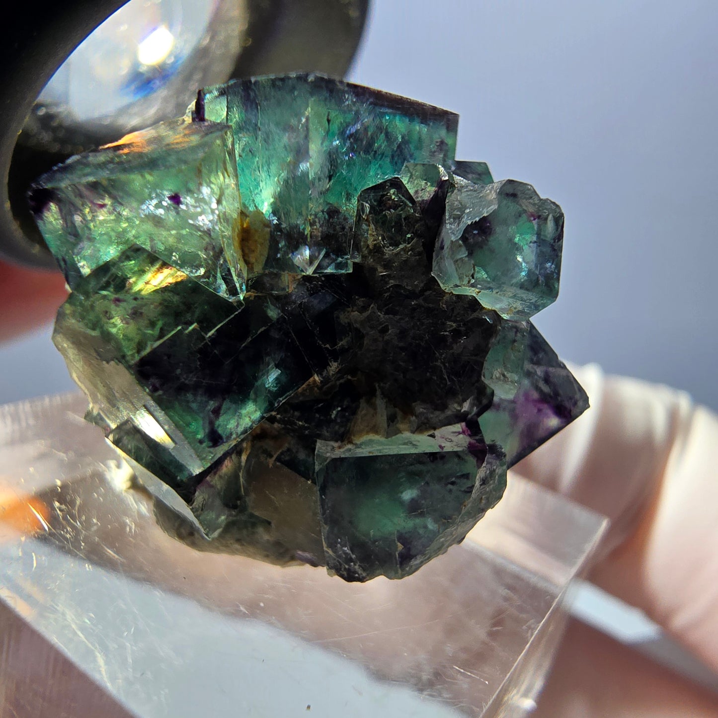 Spécimen de cube de fluorite fantôme, parqueté vert violet Okorusu, Namibie 27*21*19 mm