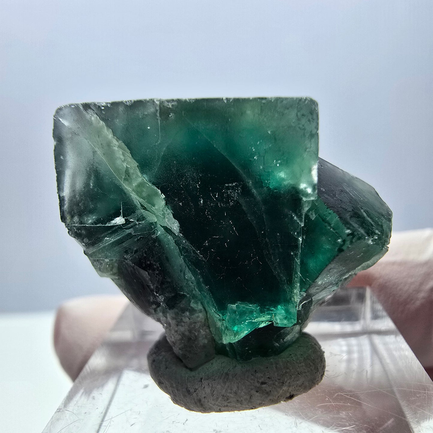Spécimen de cube de fluorite fantôme, vert violet, Okorusu, Namibie, 27 x 22 x 15 mm