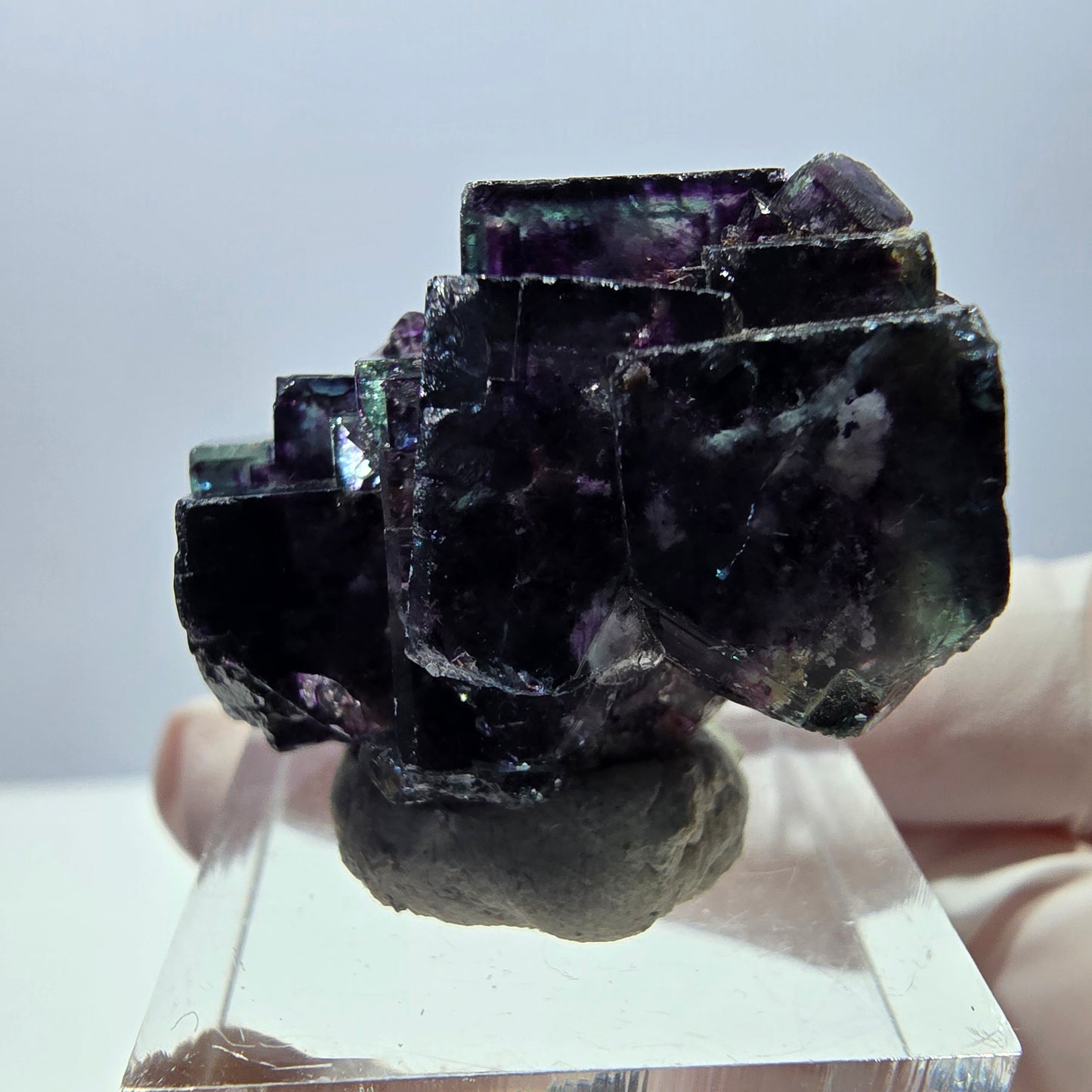 Spécimen de cube de fluorite fantôme, parqueté vert violet Okorusu, Namibie 34*24*19 mm