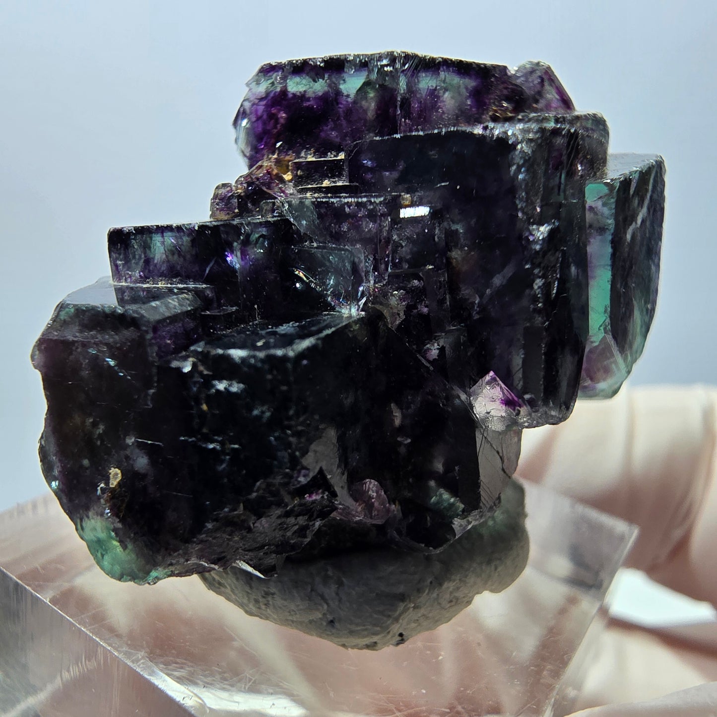 Spécimen de cube de fluorite fantôme, parqueté vert violet Okorusu, Namibie 34*24*19 mm