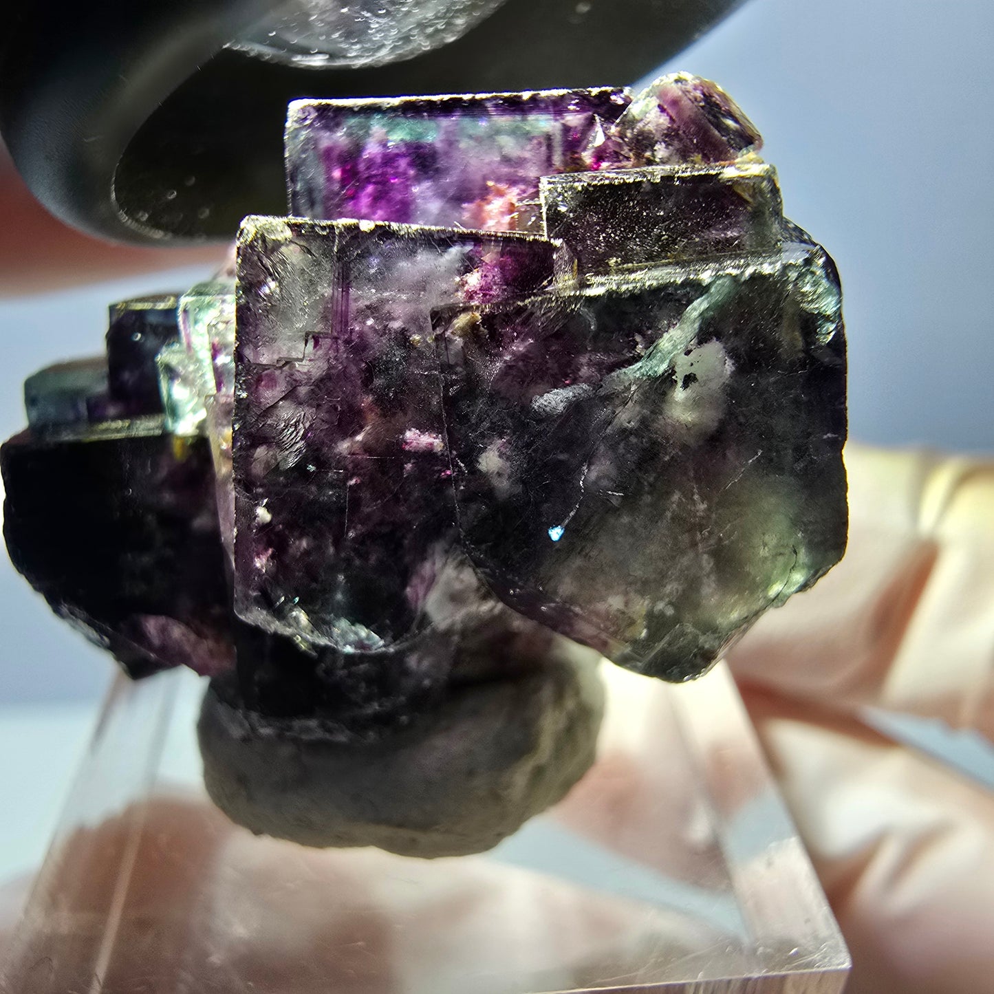 Spécimen de cube de fluorite fantôme, parqueté vert violet Okorusu, Namibie 34*24*19 mm