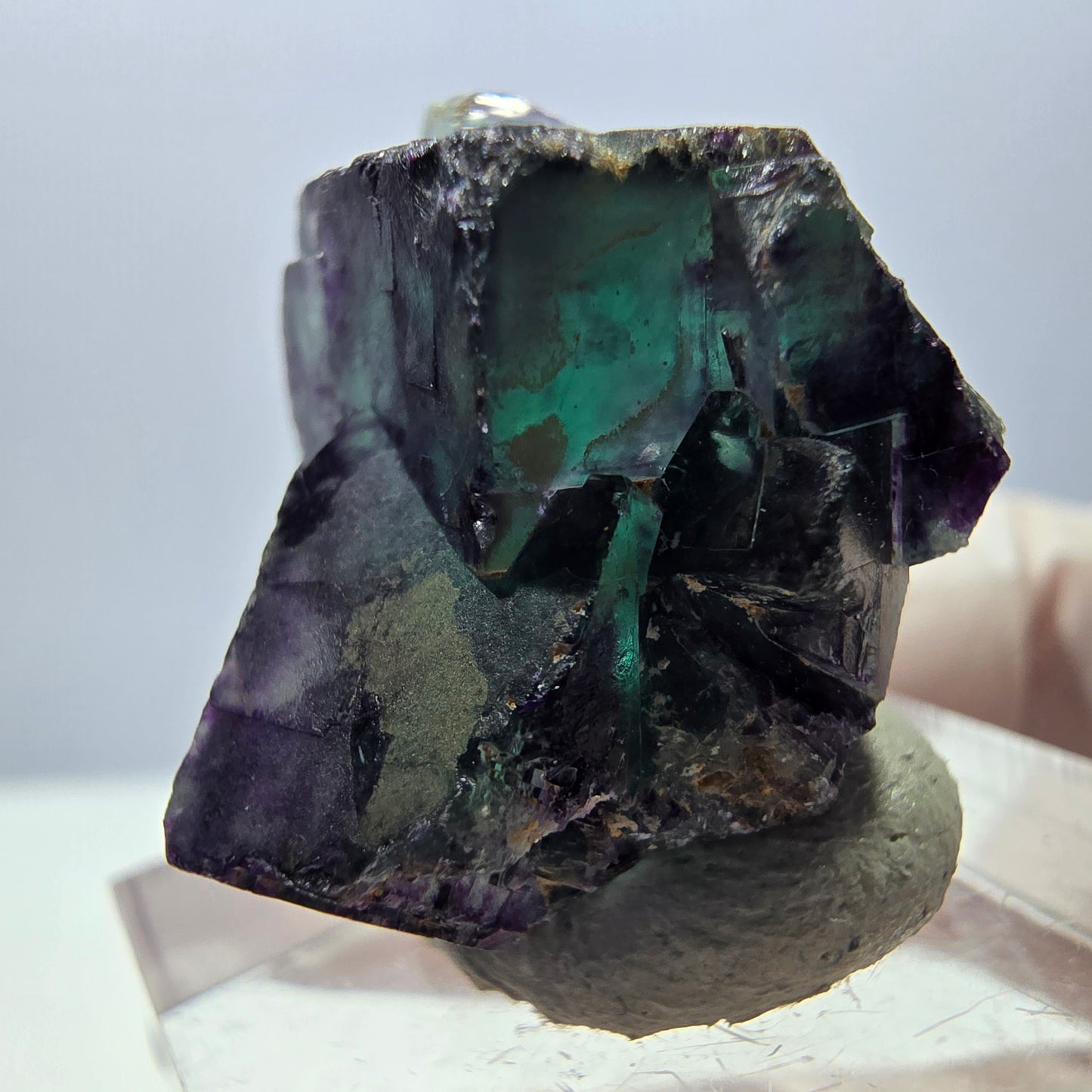 Spécimen de cube de fluorite fantôme, parqueté vert violet Okorusu, Namibie 24 x 19 x 17 mm