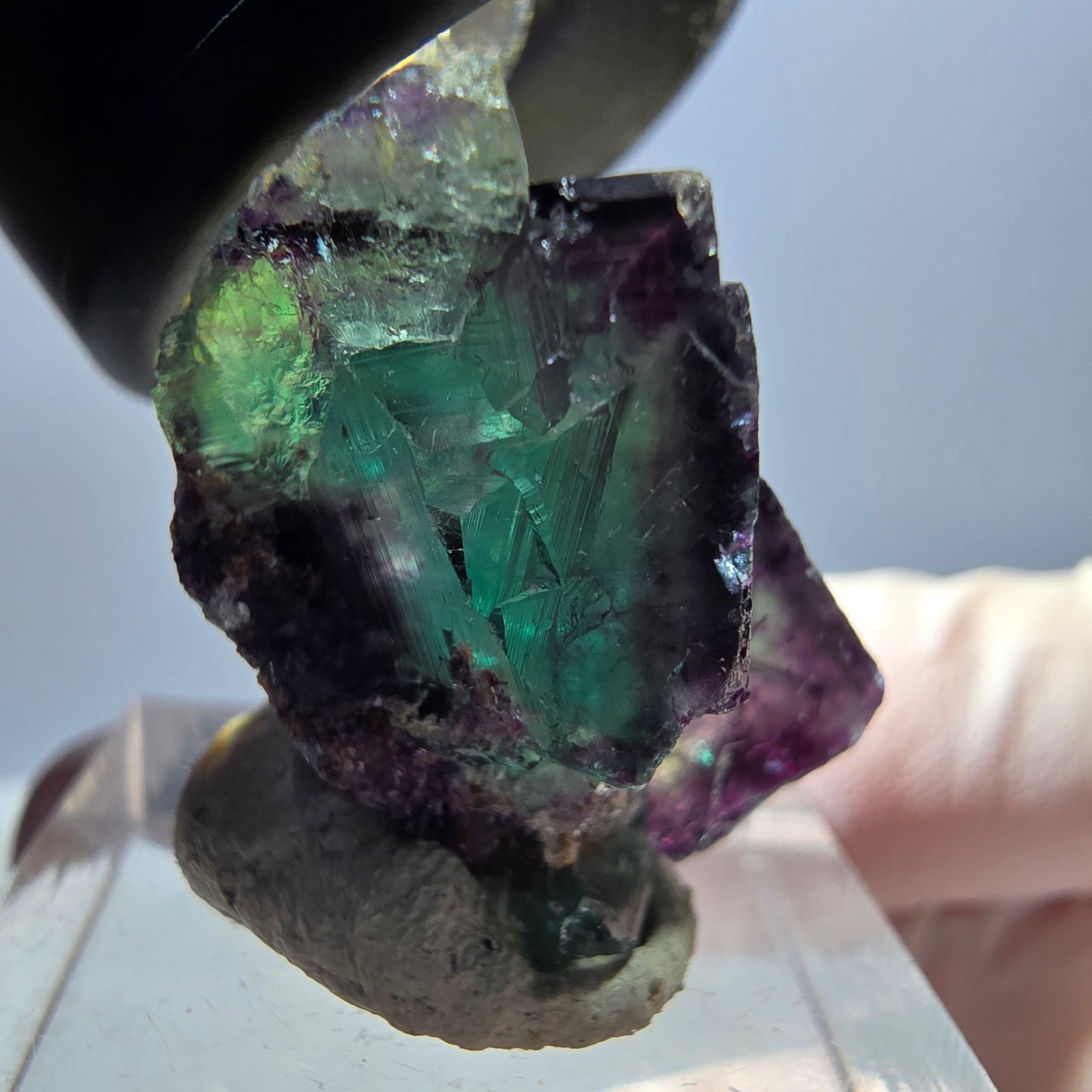 Spécimen de cube de fluorite fantôme, parqueté vert violet Okorusu, Namibie 24 x 19 x 17 mm