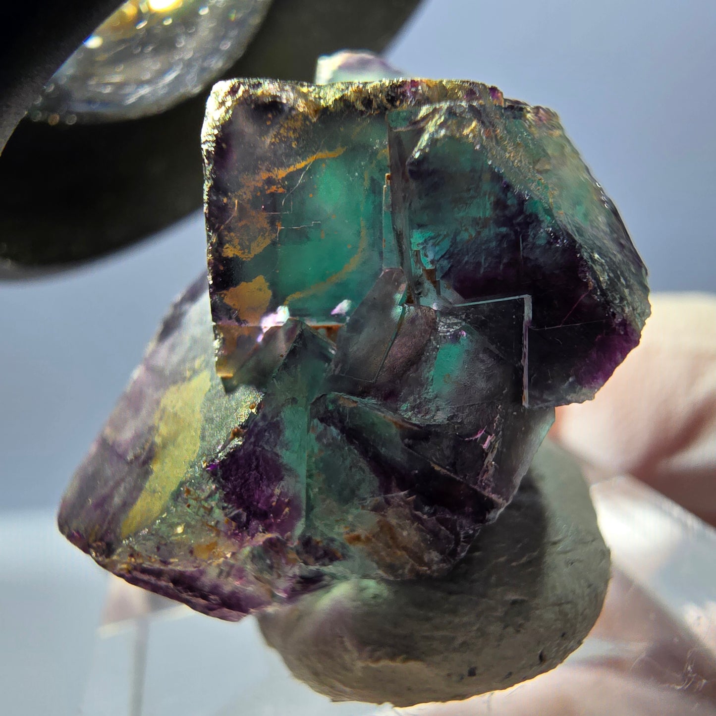 Spécimen de cube de fluorite fantôme, parqueté vert violet Okorusu, Namibie 24 x 19 x 17 mm
