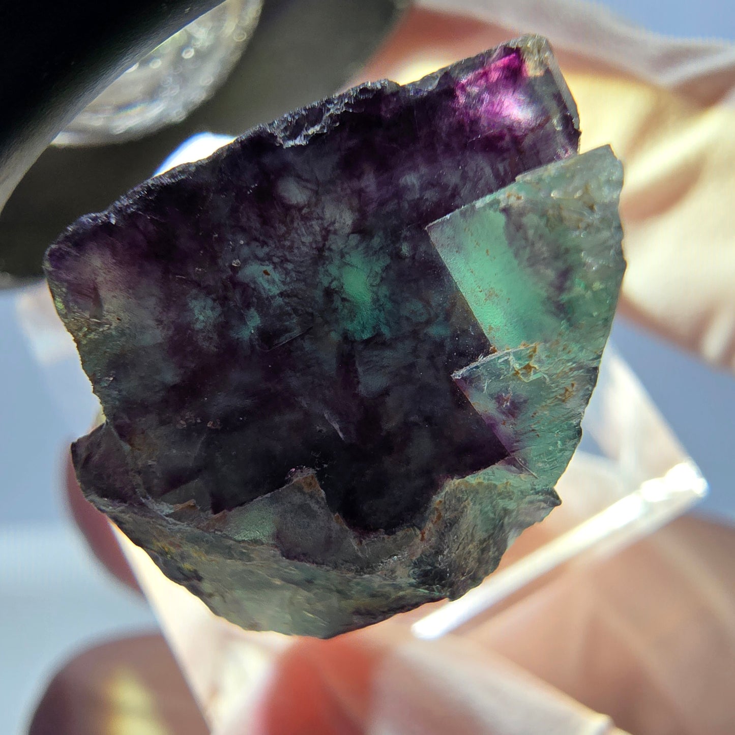 Spécimen de cube de fluorite fantôme, parqueté vert violet Okorusu, Namibie 24 x 19 x 17 mm