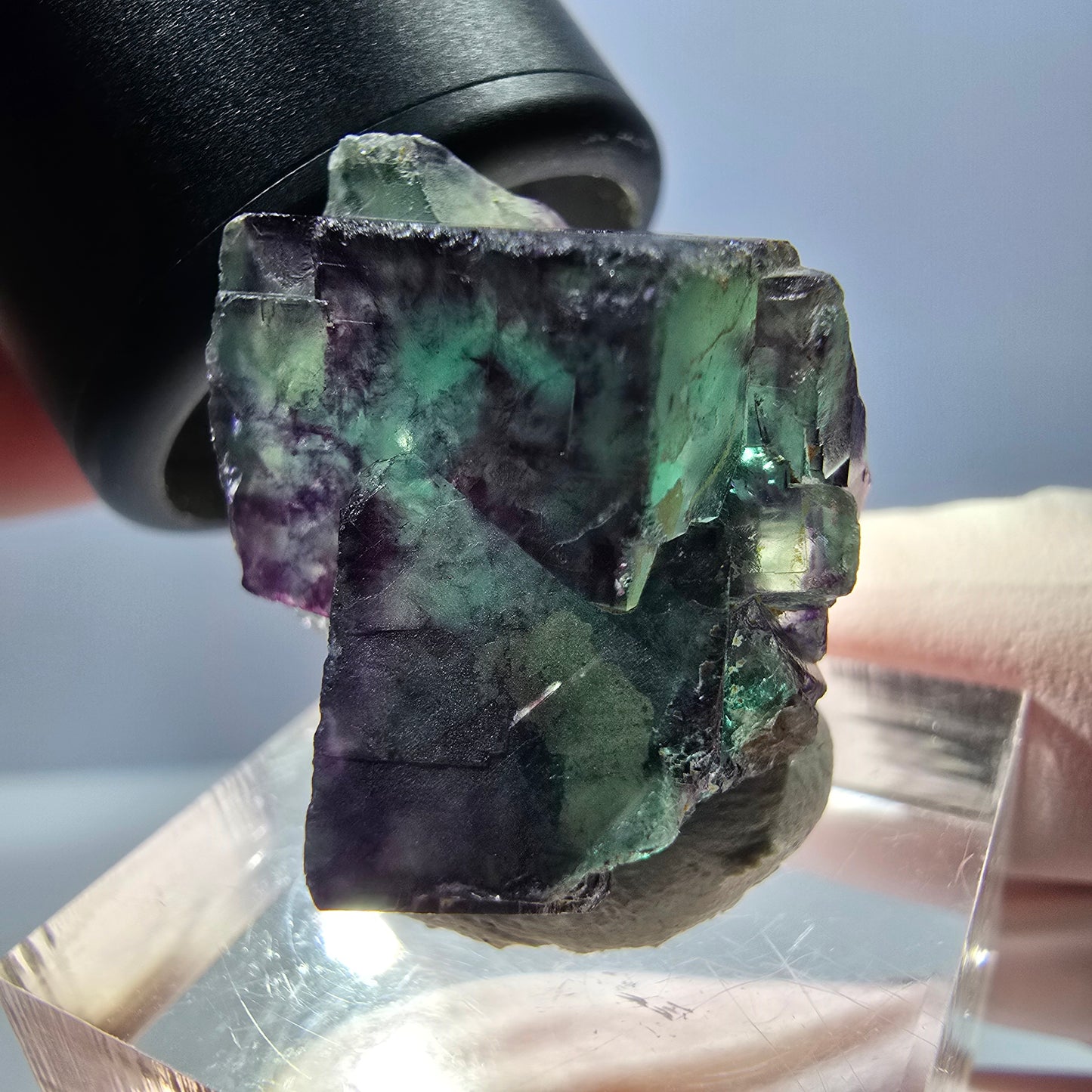 Spécimen de cube de fluorite fantôme, parqueté vert violet Okorusu, Namibie 24 x 19 x 17 mm