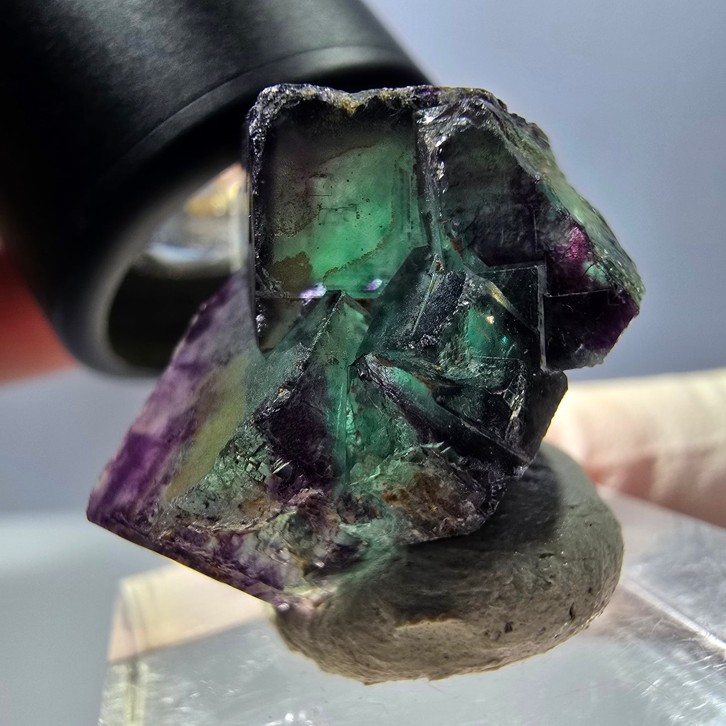 Spécimen de cube de fluorite fantôme, parqueté vert violet Okorusu, Namibie 24 x 19 x 17 mm