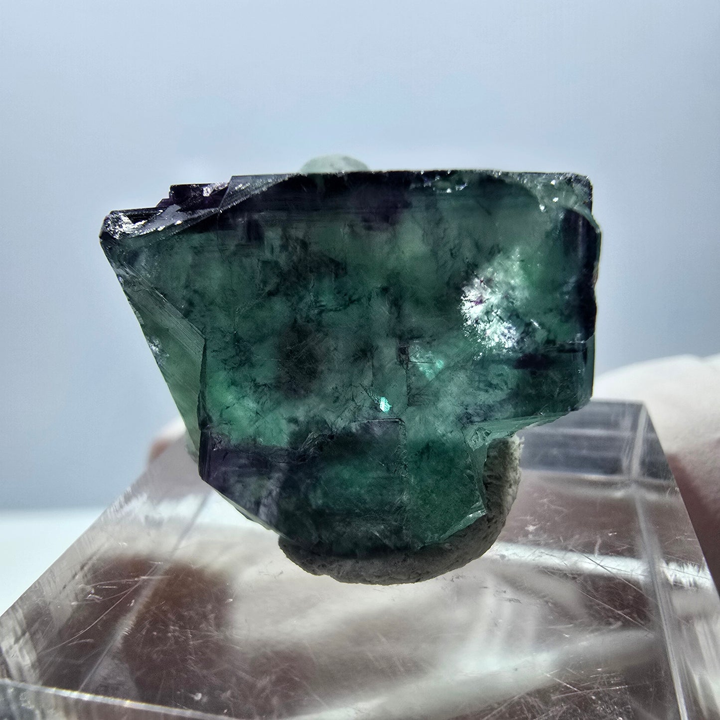 Spécimen de cube de fluorite fantôme, parqueté vert violet Okorusu, Namibie 21*18*16 mm