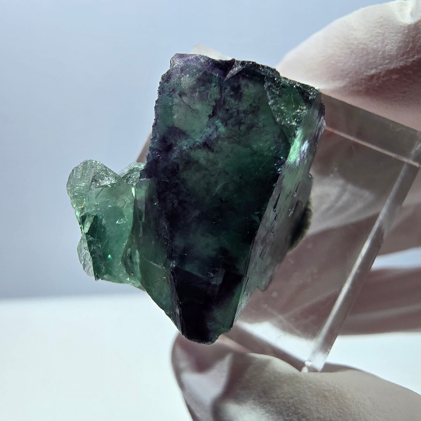 Spécimen de cube de fluorite fantôme, parqueté vert violet Okorusu, Namibie 21*18*16 mm
