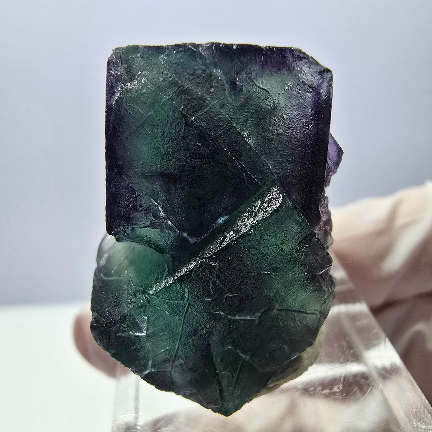 Spécimen de cube de fluorite fantôme, parqueté vert violet Okorusu, Namibie 32*23*16 mm
