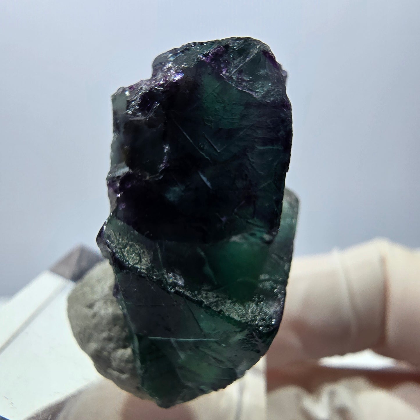 Spécimen de cube de fluorite fantôme, parqueté vert violet Okorusu, Namibie 32*23*16 mm