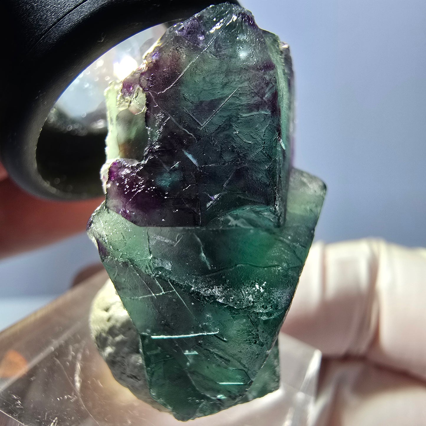 Spécimen de cube de fluorite fantôme, parqueté vert violet Okorusu, Namibie 32*23*16 mm