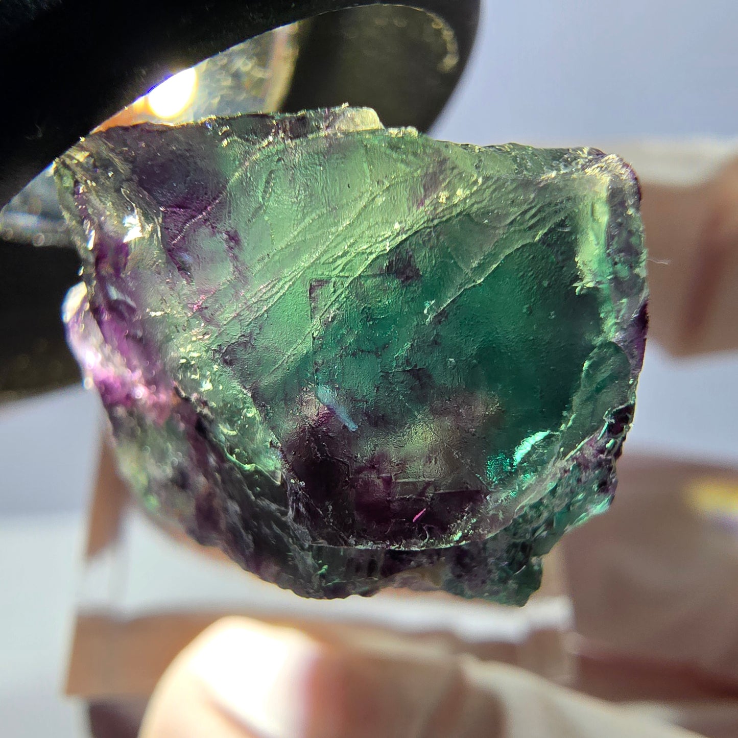Spécimen de cube de fluorite fantôme, parqueté vert violet Okorusu, Namibie 32*23*16 mm