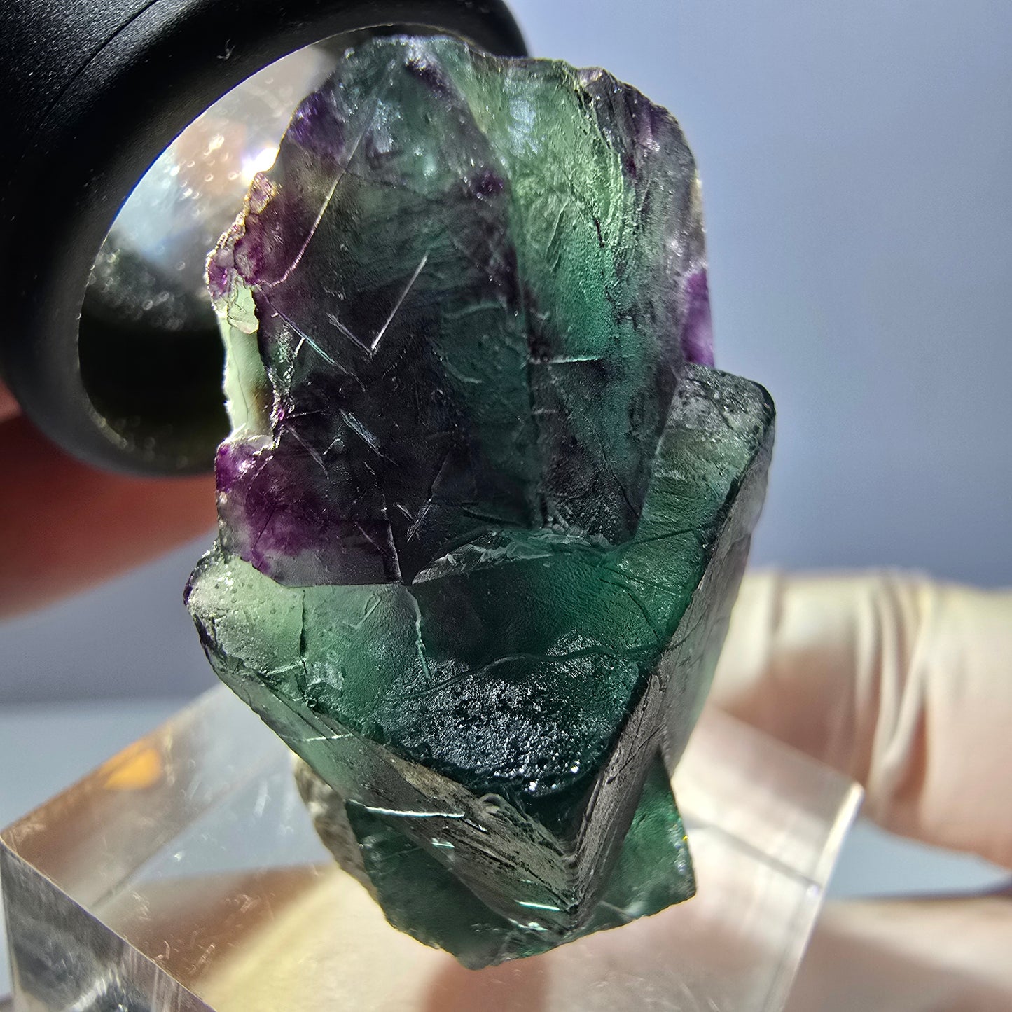 Spécimen de cube de fluorite fantôme, parqueté vert violet Okorusu, Namibie 32*23*16 mm
