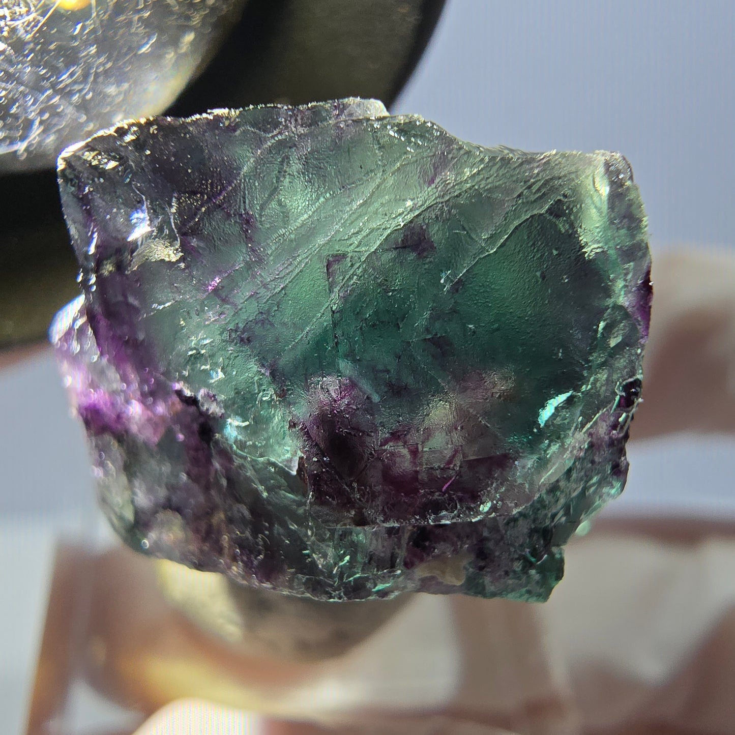 Spécimen de cube de fluorite fantôme, parqueté vert violet Okorusu, Namibie 32*23*16 mm