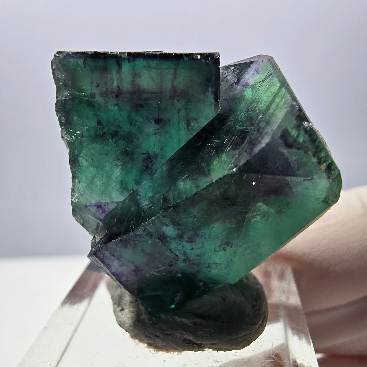Phantom Fluorit Würfel Stufe, parkettiert grün lila Okorusu, Namibia 31*25*18mm