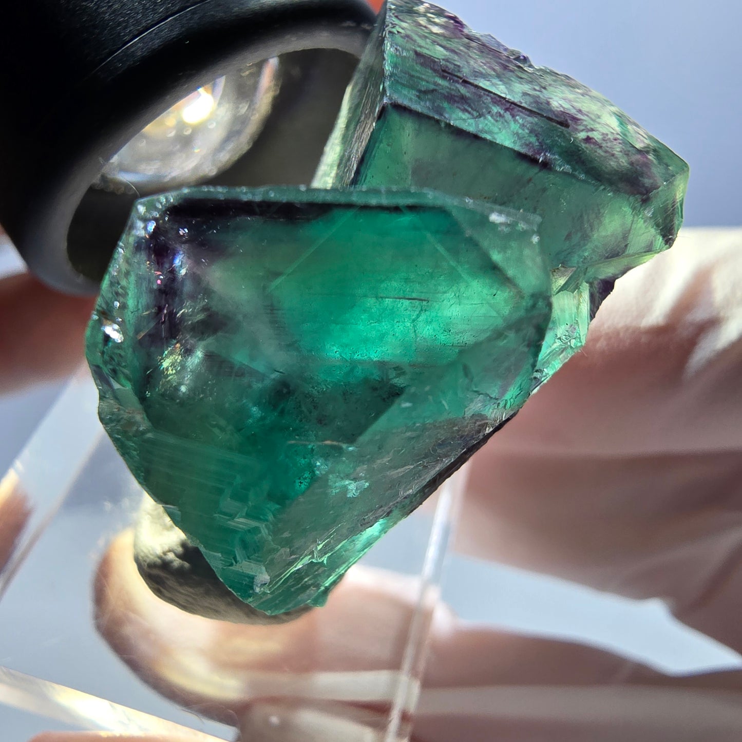 Phantom Fluorit Würfel Stufe, parkettiert grün lila Okorusu, Namibia 31*25*18mm