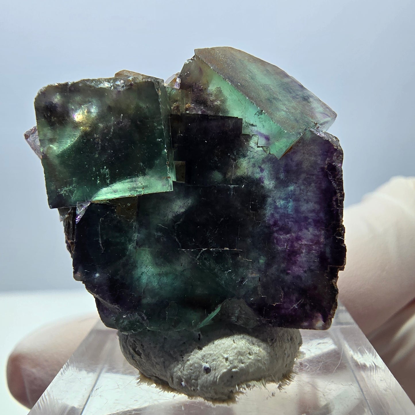 Spécimen de cube de fluorite fantôme, parqueté vert violet Okorusu, Namibie 30*28*15 mm