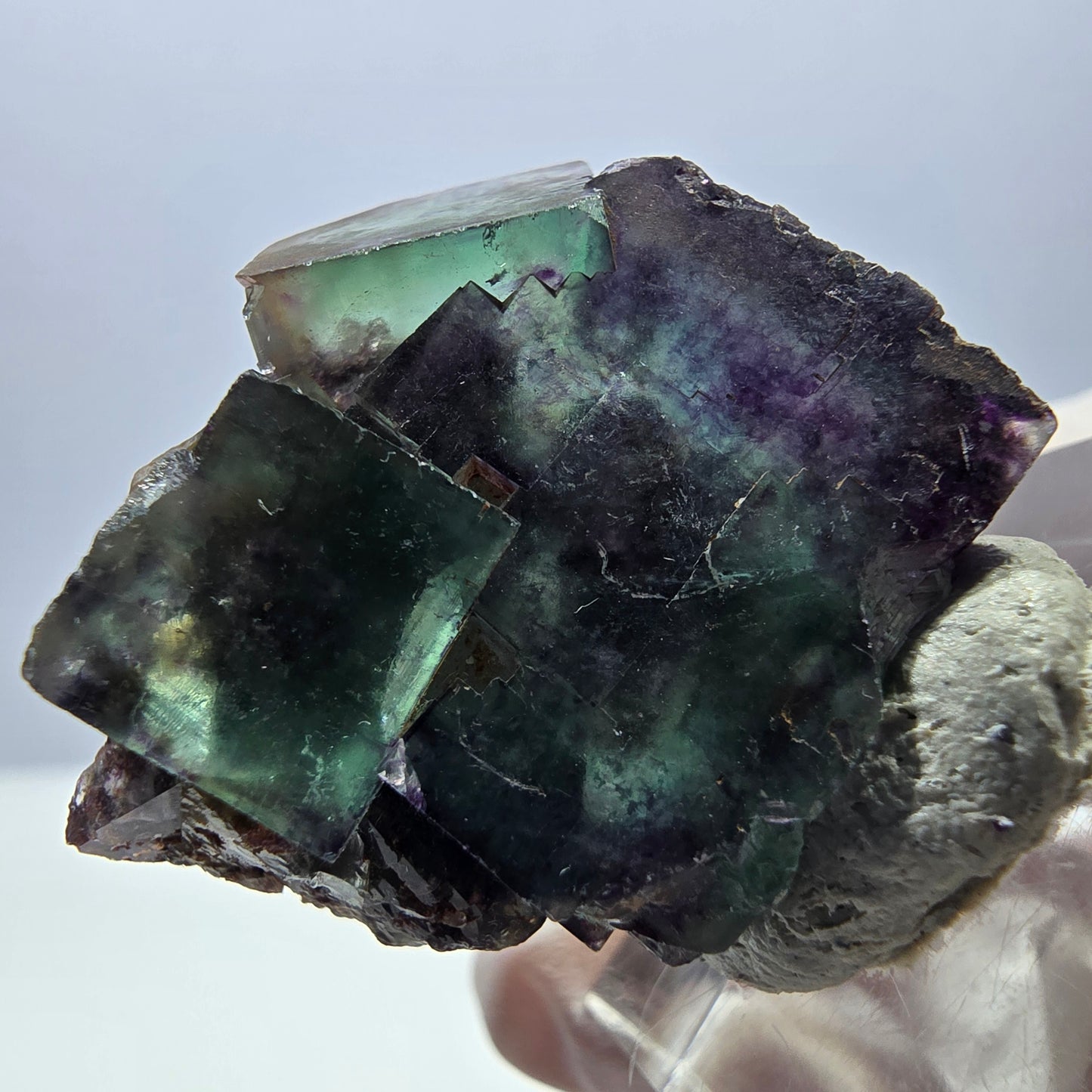 Spécimen de cube de fluorite fantôme, parqueté vert violet Okorusu, Namibie 30*28*15 mm