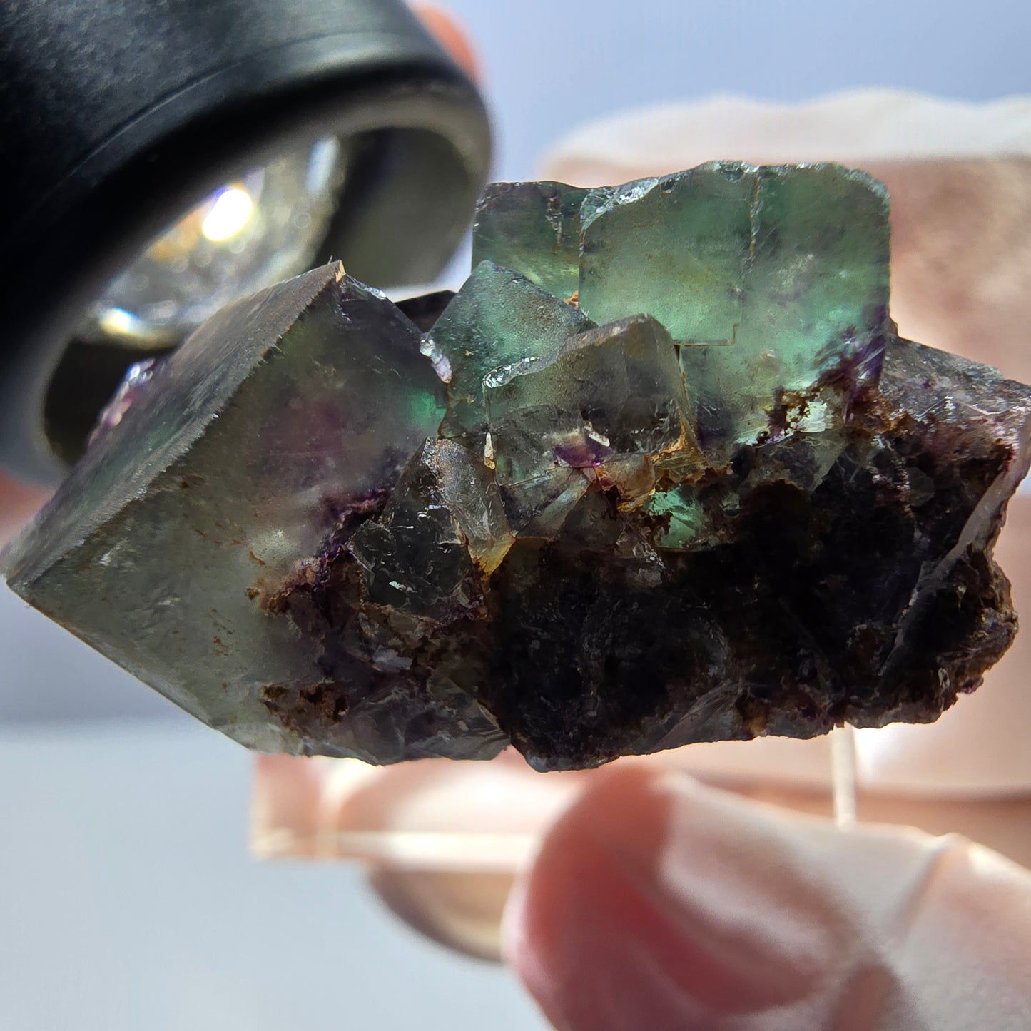 Spécimen de cube de fluorite fantôme, parqueté vert violet Okorusu, Namibie 30*28*15 mm
