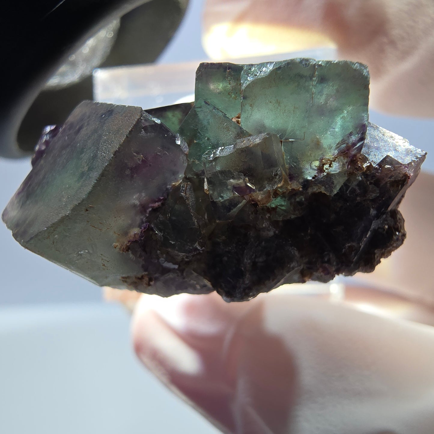 Spécimen de cube de fluorite fantôme, parqueté vert violet Okorusu, Namibie 30*28*15 mm