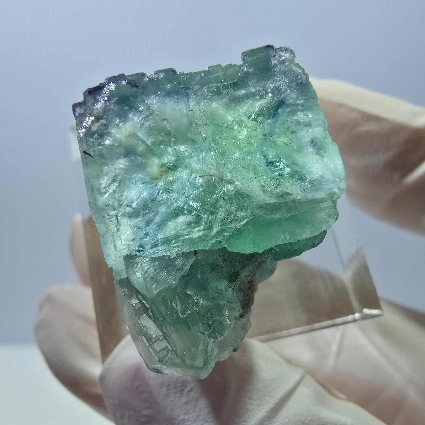 Phantom Fluorit Würfel Stufe, grün parkettiert Okorusu, Namibia 22*20*18mm