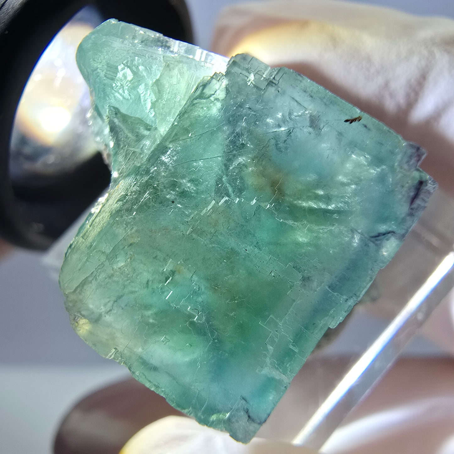 Phantom Fluorit Würfel Stufe, grün parkettiert Okorusu, Namibia 22*20*18mm