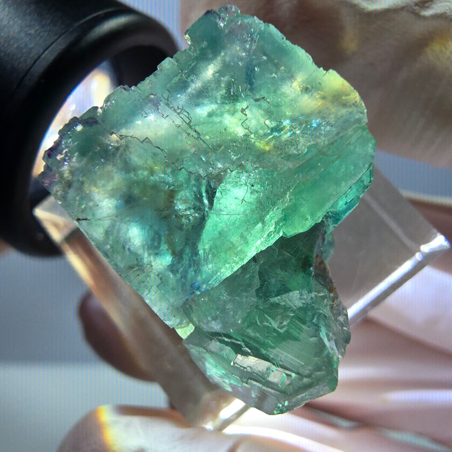 Phantom Fluorit Würfel Stufe, grün parkettiert Okorusu, Namibia 22*20*18mm