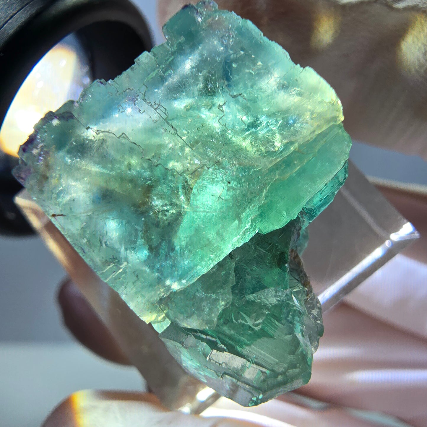 Phantom Fluorit Würfel Stufe, grün parkettiert Okorusu, Namibia 22*20*18mm