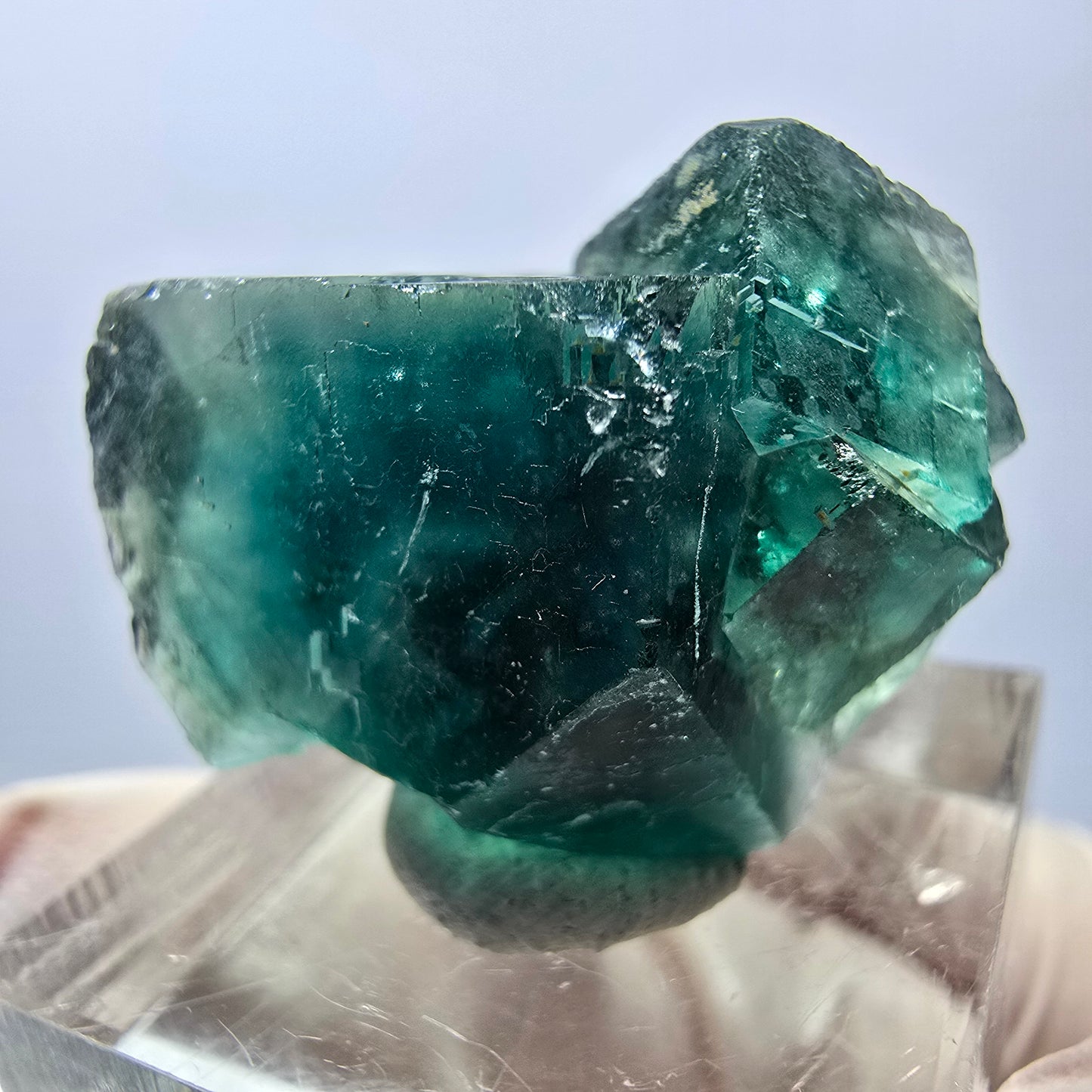 Spécimen de cube de fluorite fantôme, parquet vert Okorusu, Namibie 30*22*20 mm