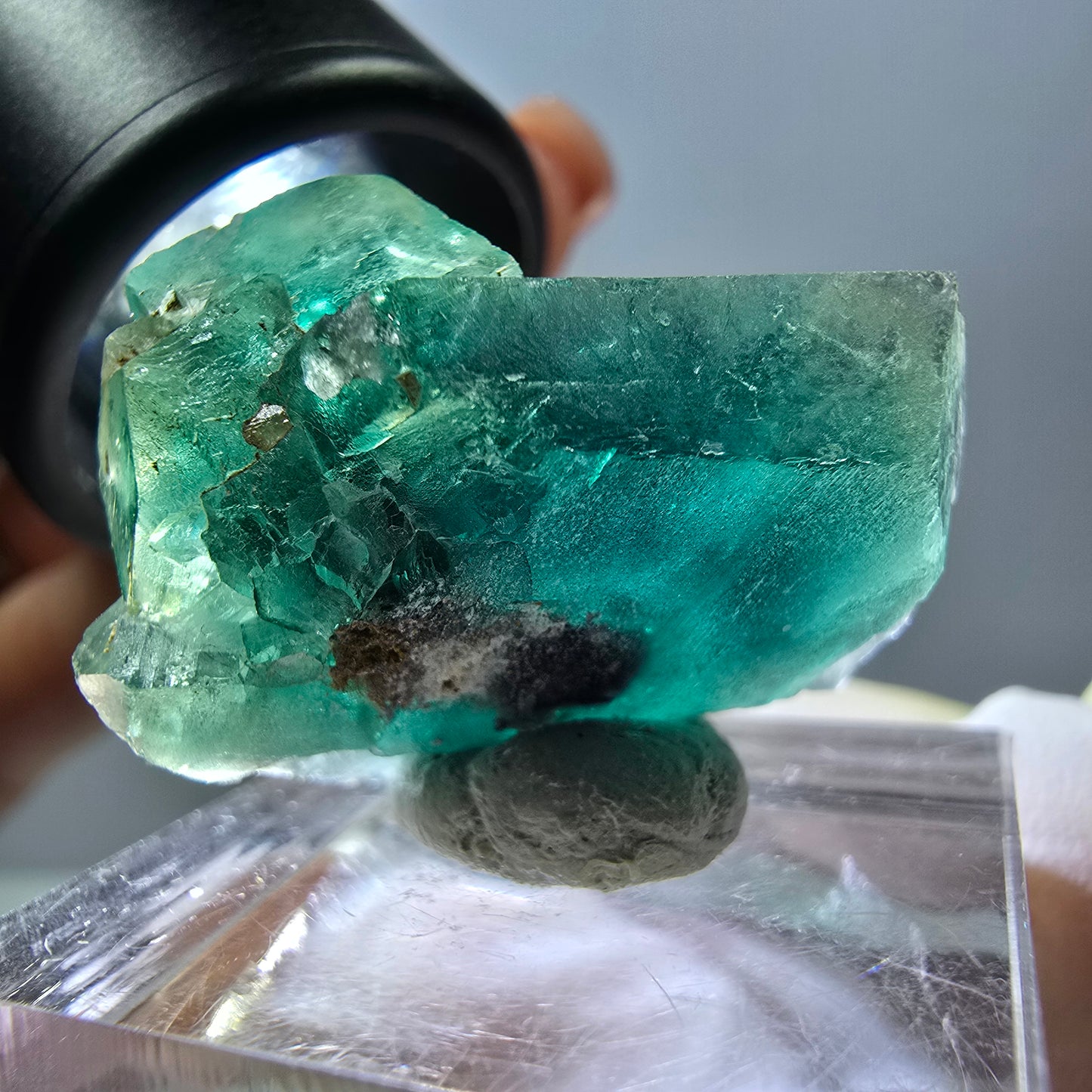 Spécimen de cube de fluorite fantôme, parquet vert Okorusu, Namibie 30*22*20 mm