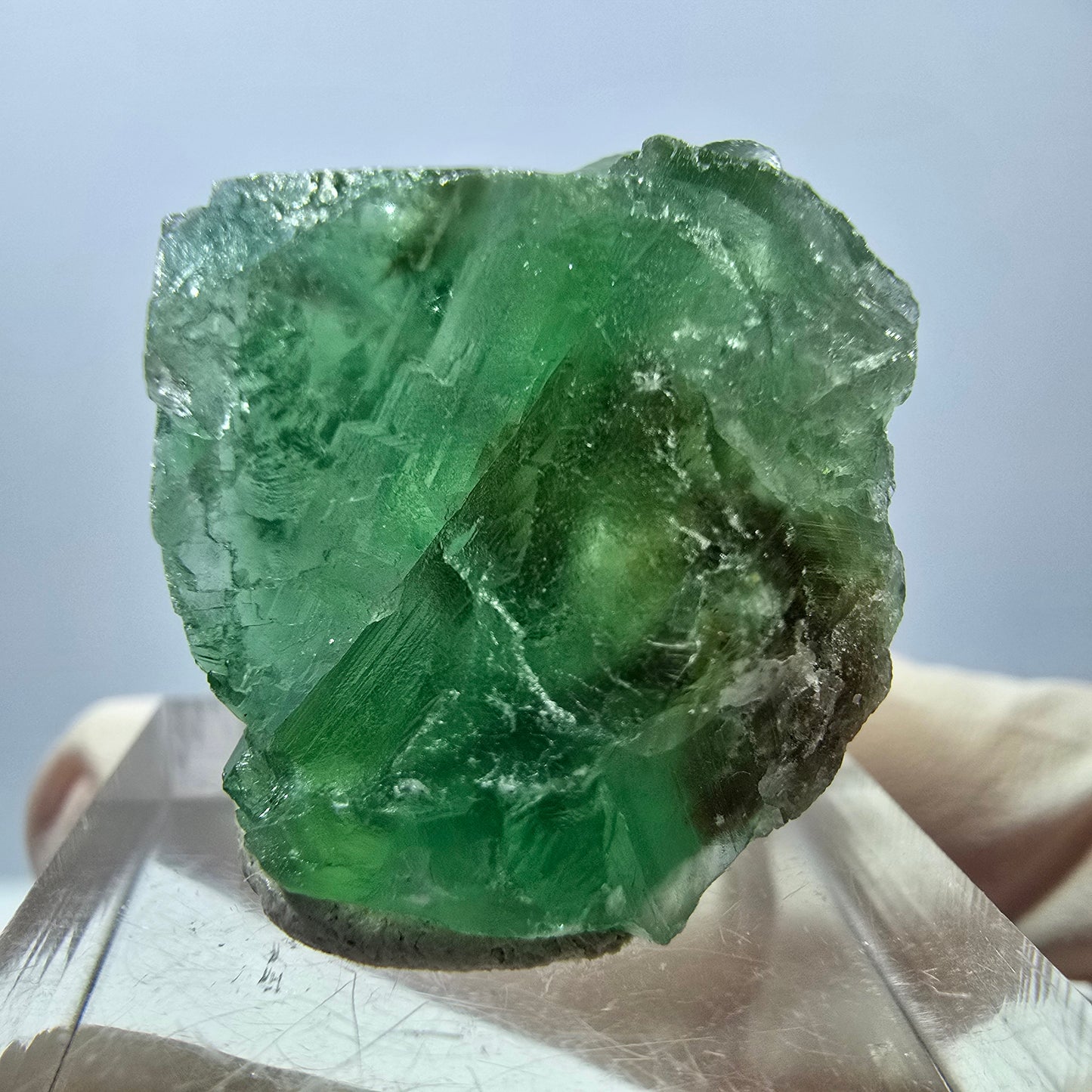 Spécimen de cube de fluorite fantôme, parquet vert Okorusu, Namibie 35*26*24 mm