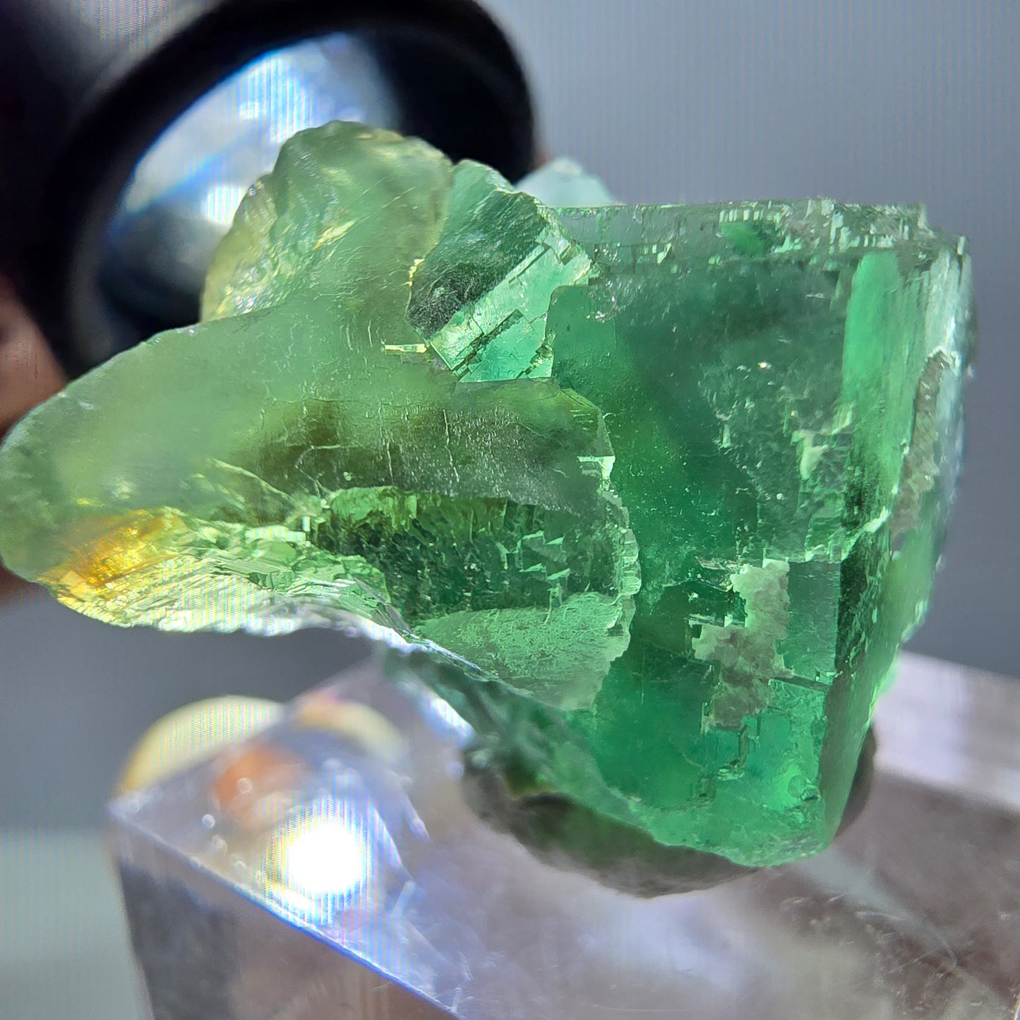 Spécimen de cube de fluorite fantôme, parquet vert Okorusu, Namibie 35*26*24 mm