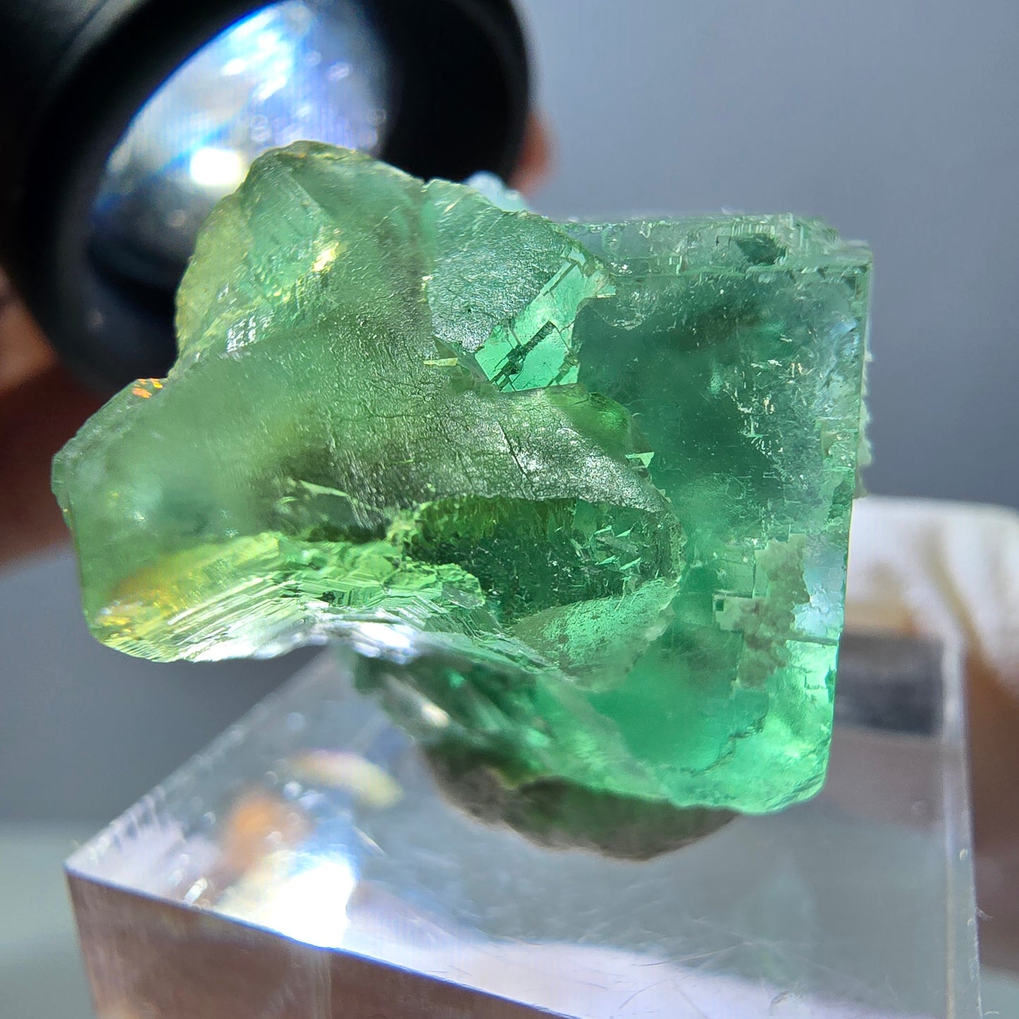Spécimen de cube de fluorite fantôme, parquet vert Okorusu, Namibie 35*26*24 mm