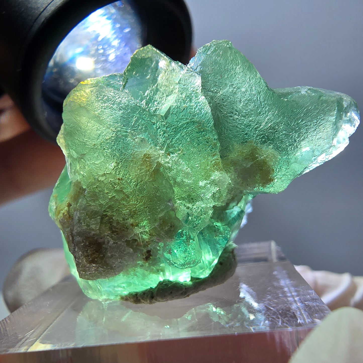 Spécimen de cube de fluorite fantôme, parquet vert Okorusu, Namibie 35*26*24 mm
