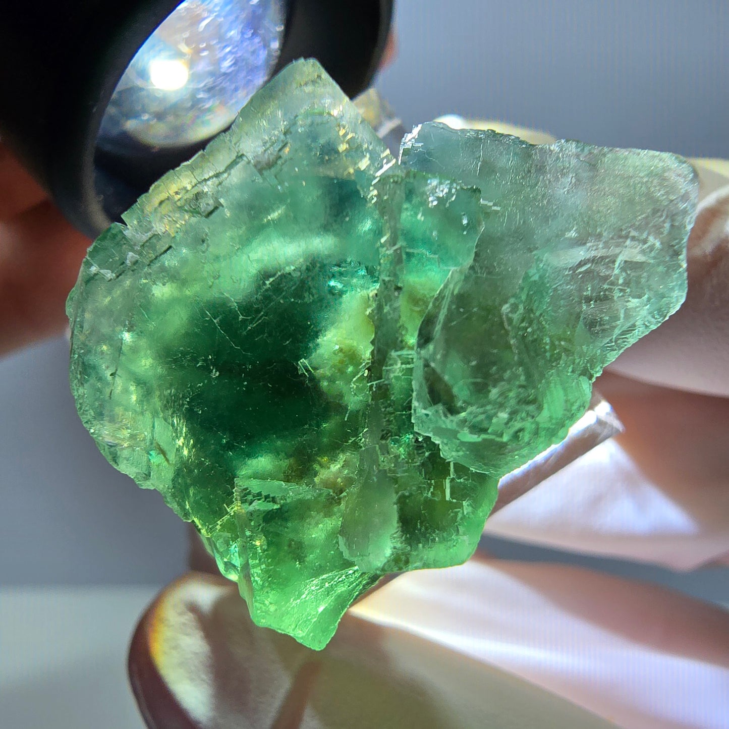 Spécimen de cube de fluorite fantôme, parquet vert Okorusu, Namibie 35*26*24 mm