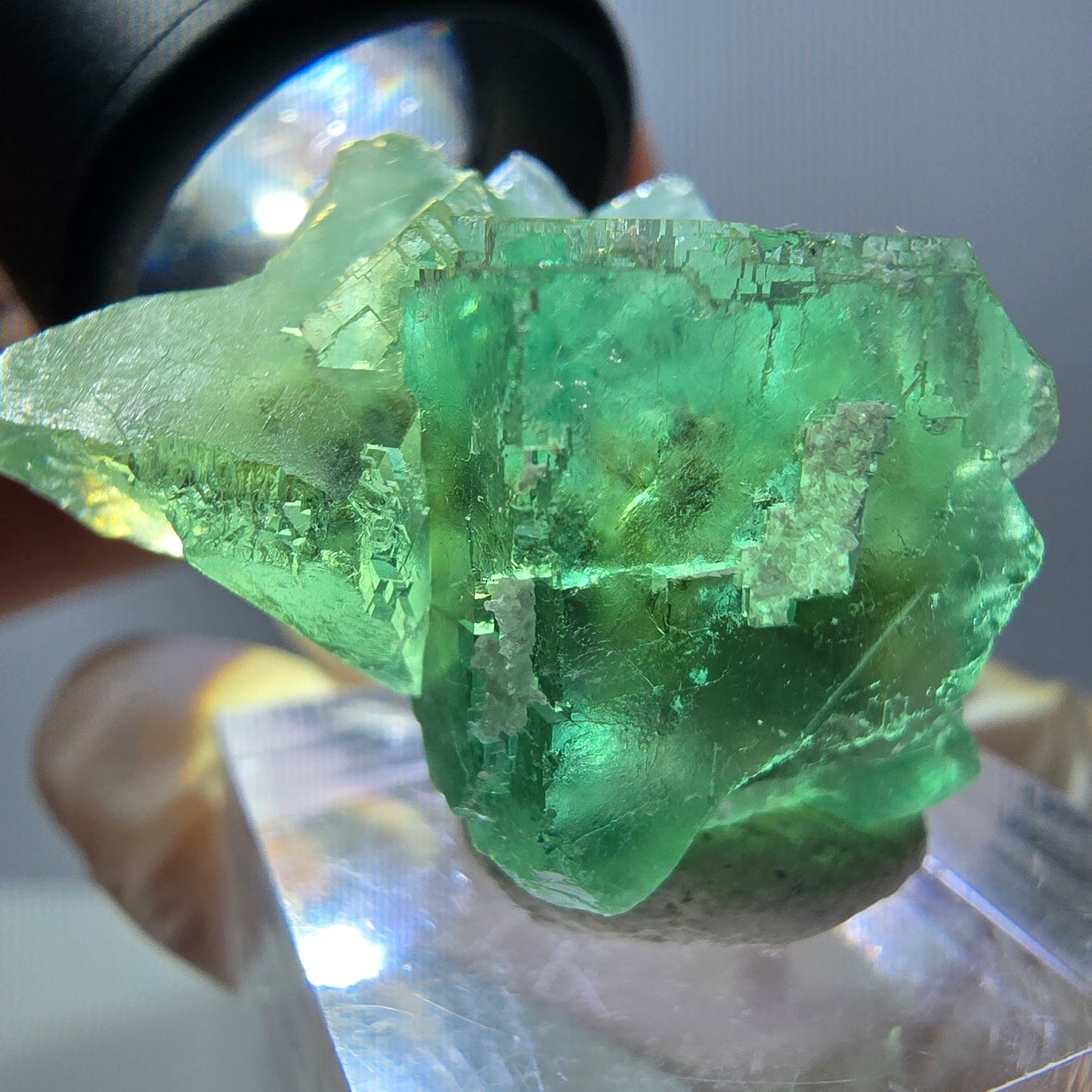 Spécimen de cube de fluorite fantôme, parquet vert Okorusu, Namibie 35*26*24 mm