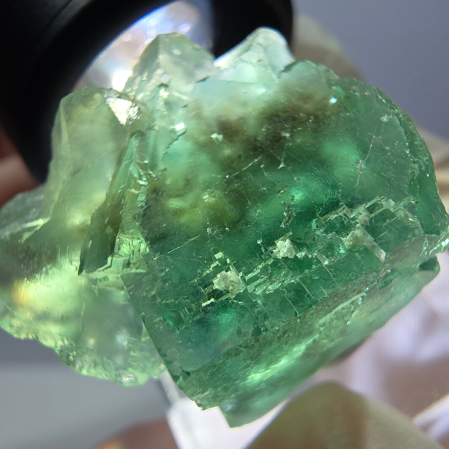 Spécimen de cube de fluorite fantôme, parquet vert Okorusu, Namibie 35*26*24 mm