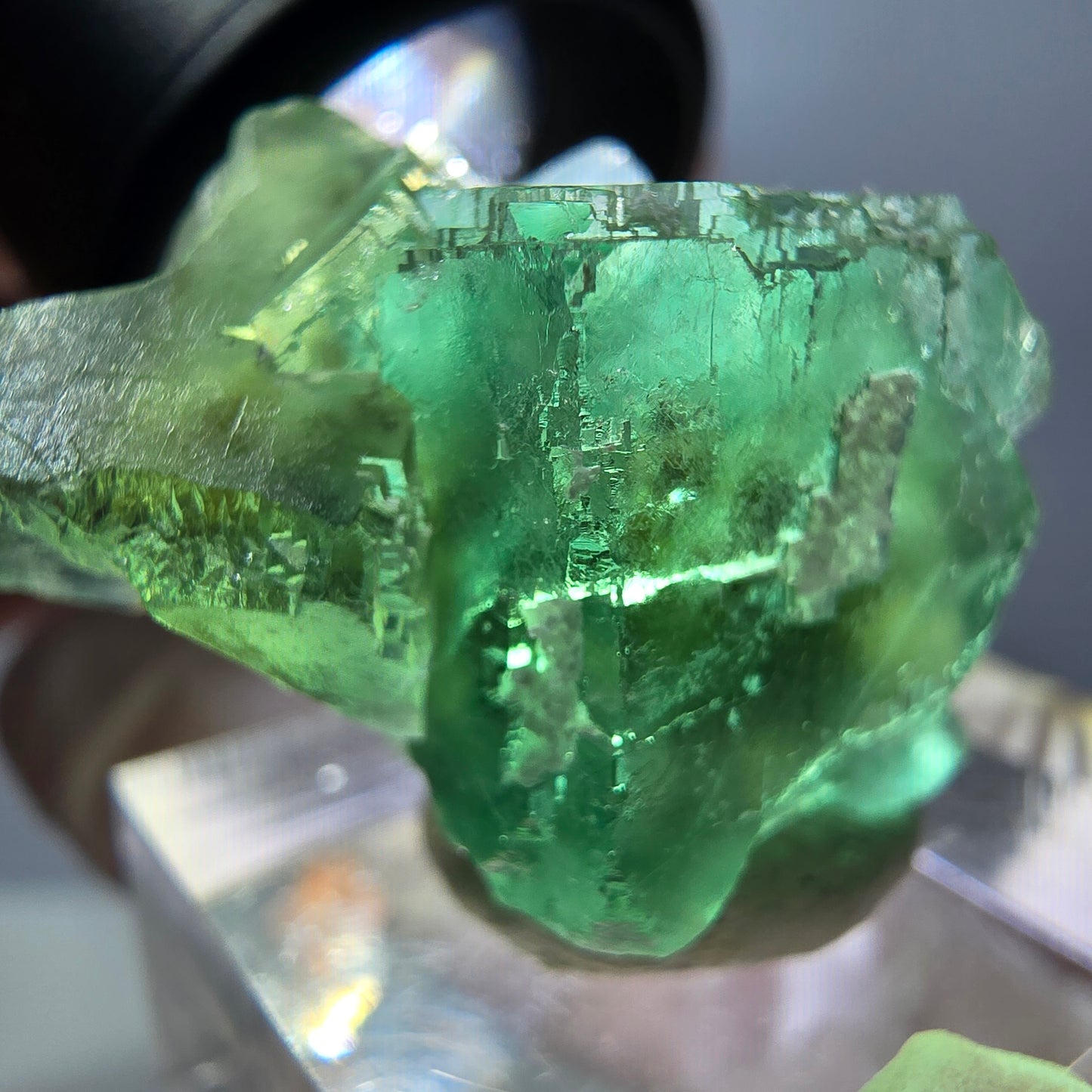 Spécimen de cube de fluorite fantôme, parquet vert Okorusu, Namibie 35*26*24 mm